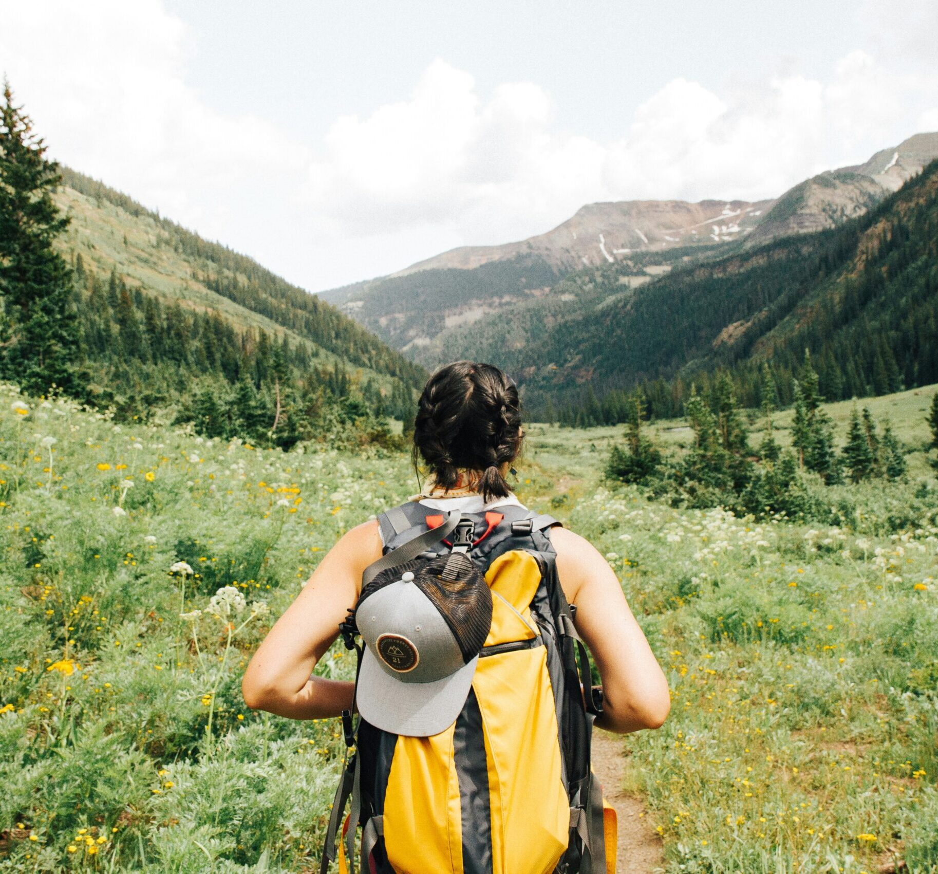 DBT Therapist - Sarah Gordis, LCSW